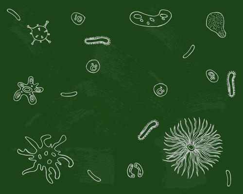 生活污水處理設(shè)備如何夯實生物除磷效果